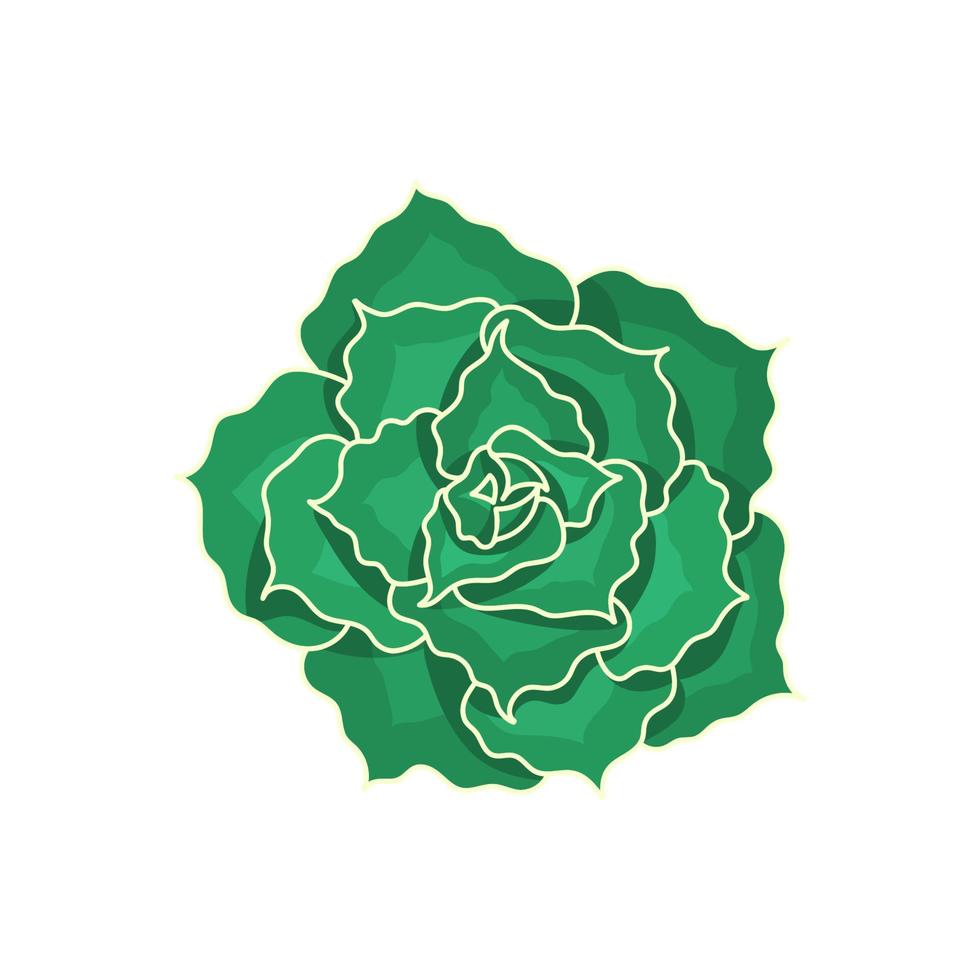 Hand drawn cute green succulent in style flat. Graphic sketch home flower Echeveria Shaviana. Logo and icon for printing and design. Vector illustration, isolated color elements on white background