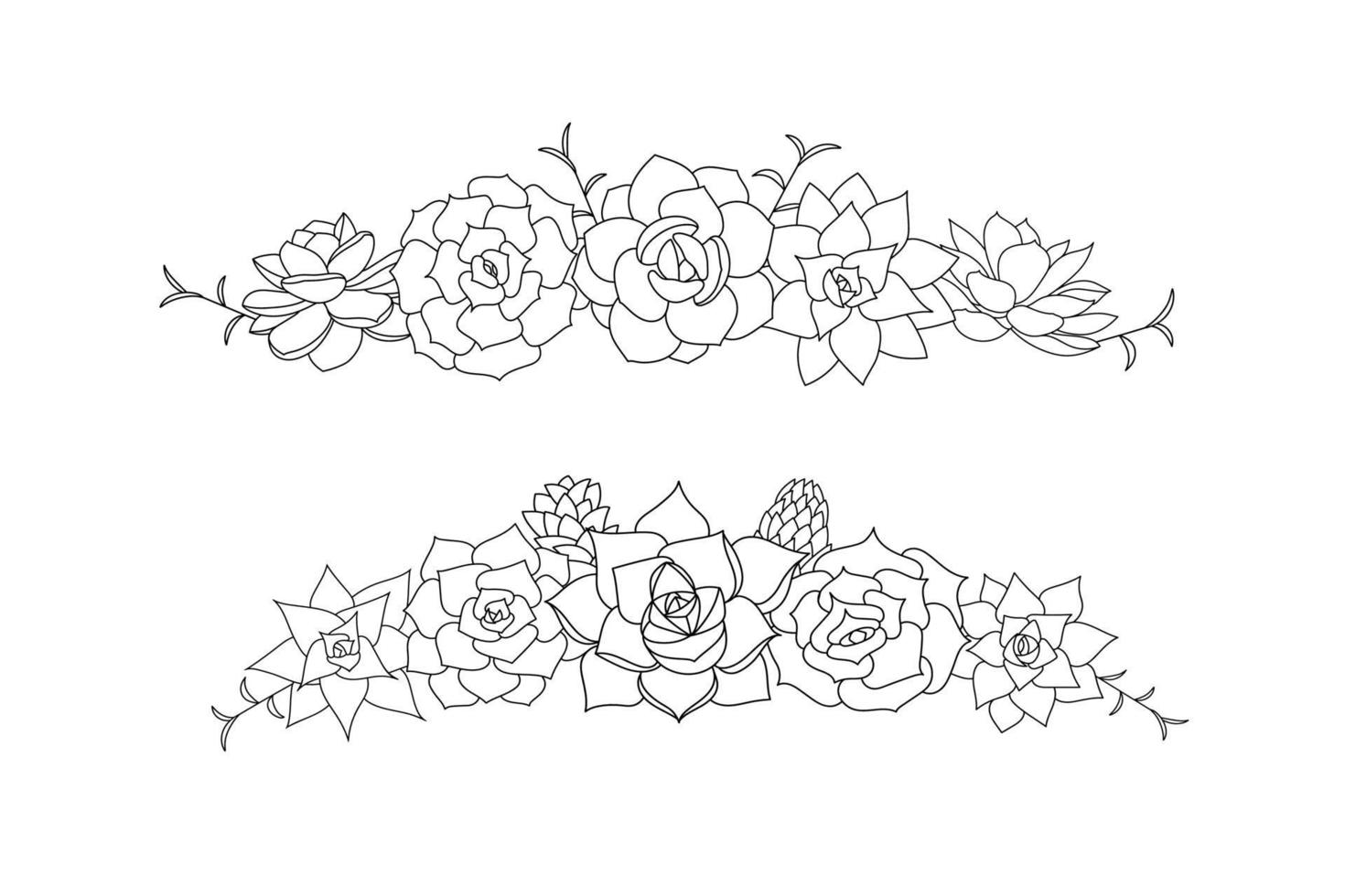 Succulent echeveria vector frame. Hand drawn desert flower illustration in doodle style. Set plants with black outline. Silhouette succulents on a white background. Border succulents for print