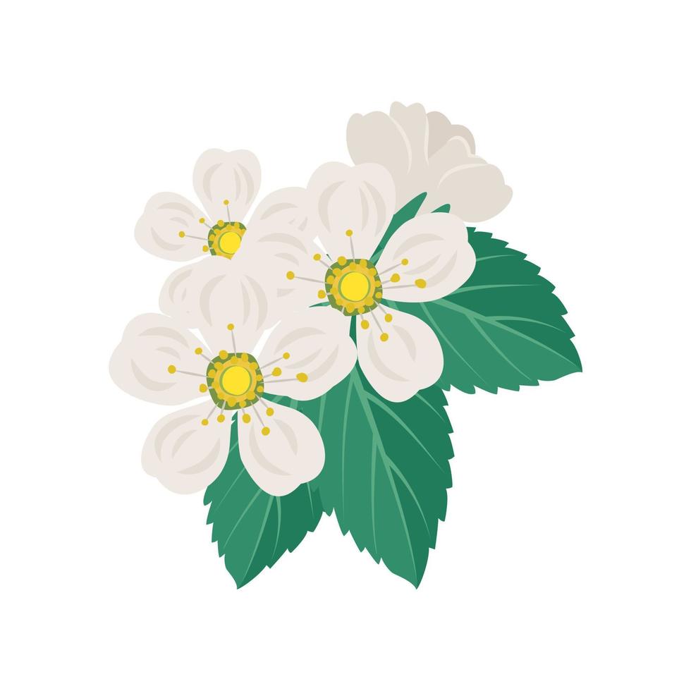 White cherry flowers on branch with leaves. Spring decoration, flowering fruit tree plant. Vector flat illustration