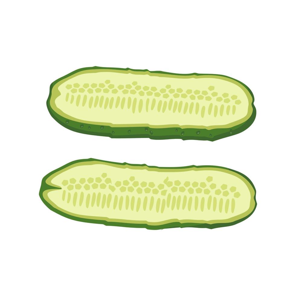 Green cucumber cut into pieces. Delicious healthy vegetable, fresh food for salad preparation, harvest. Vector flat illustration