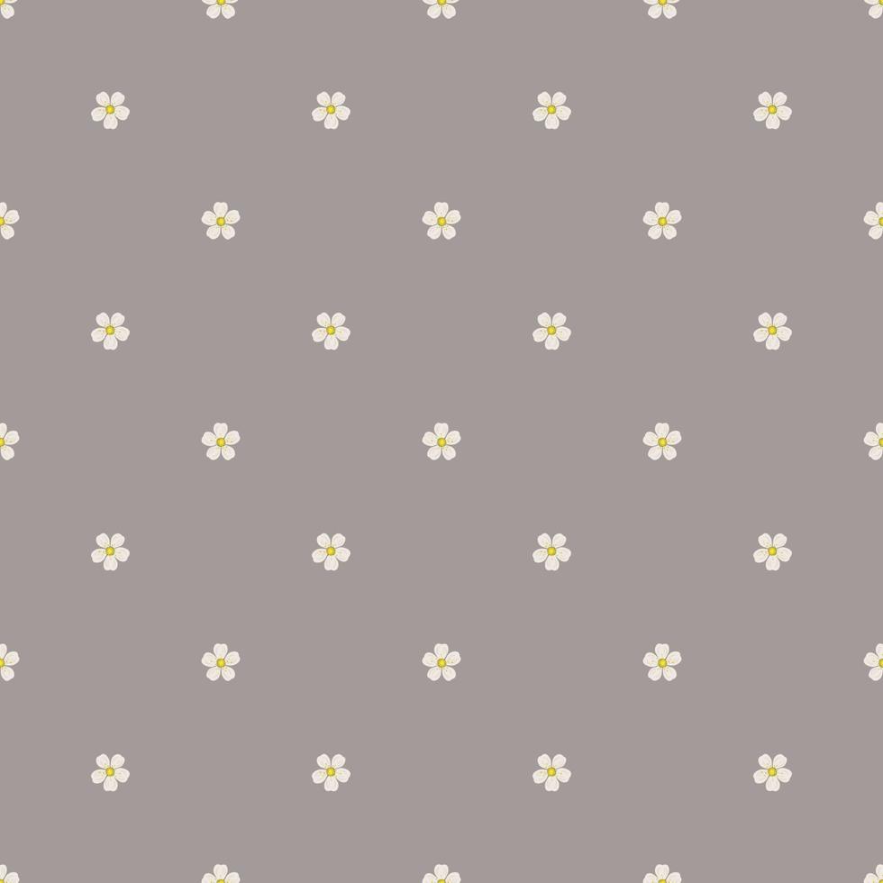 Seamless pattern with white cherry flowers on brown background. Print of spring decoration, flowering fruit tree plant. Vector flat illustration