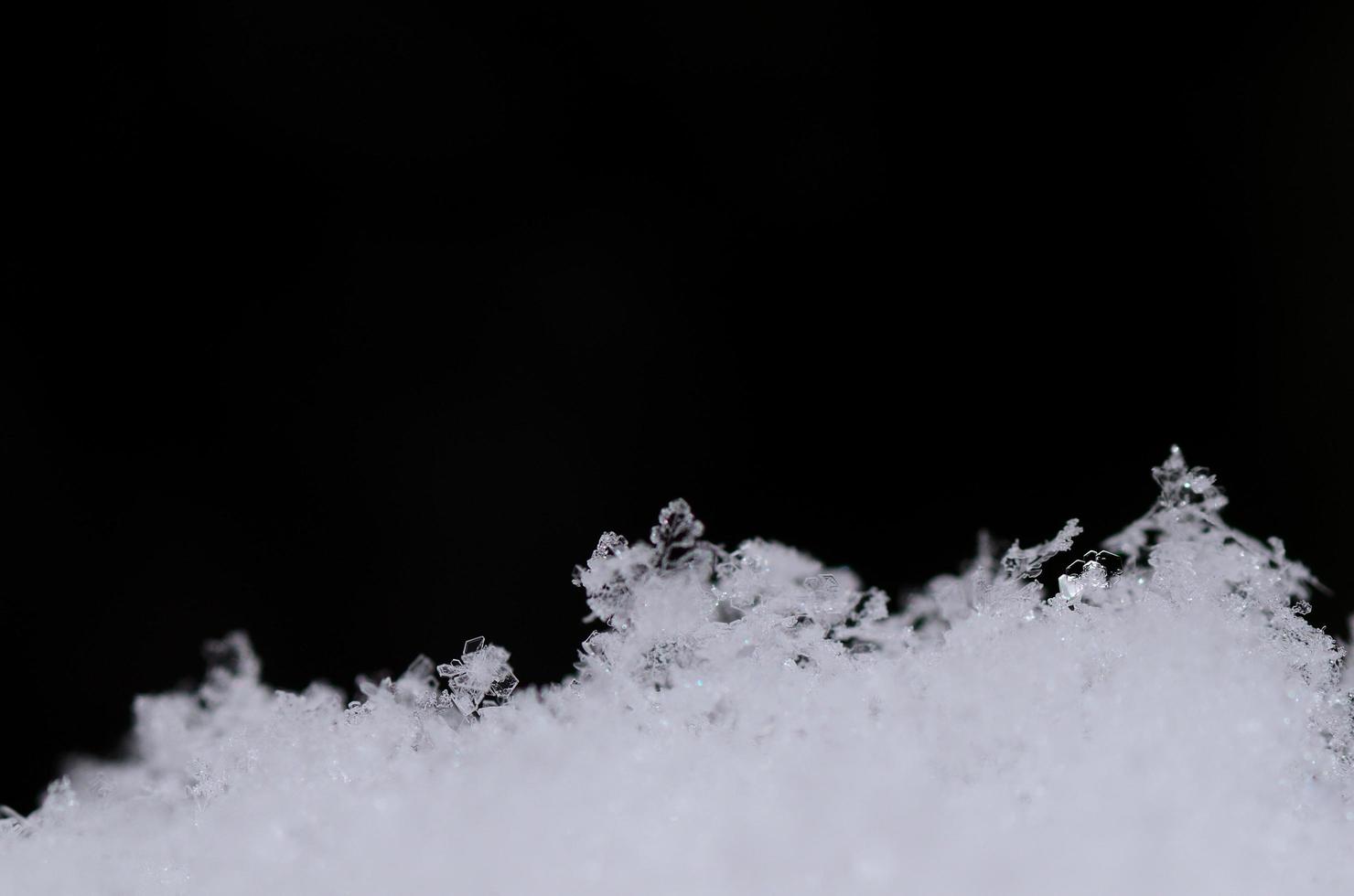 lots of fresh snow crystals photo