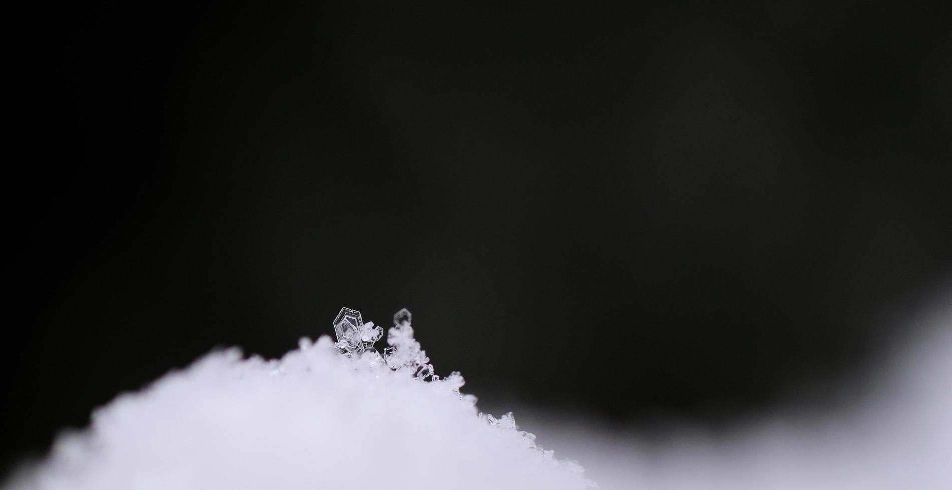 single small snow crystal panorama photo