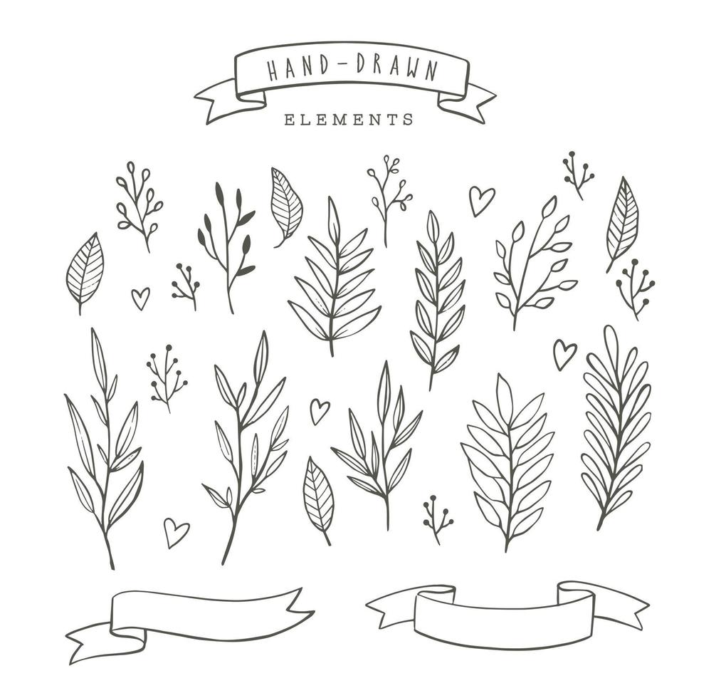 Set of hand drawn vector floral illustrations. Doodle design elements. Branches, leaves, flowers, hearts, banners, ribbons.