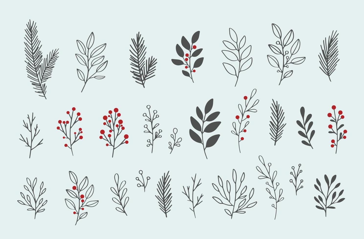 elementos florales de invierno vectoriales dibujados a mano. ramas y hojas de invierno. elementos florales dibujados a mano. ilustraciones botánicas antiguas. vector