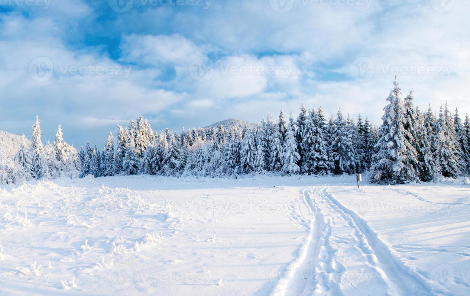 the winter road. Dramatic scene. Carpathian, Ukraine, Europe photo