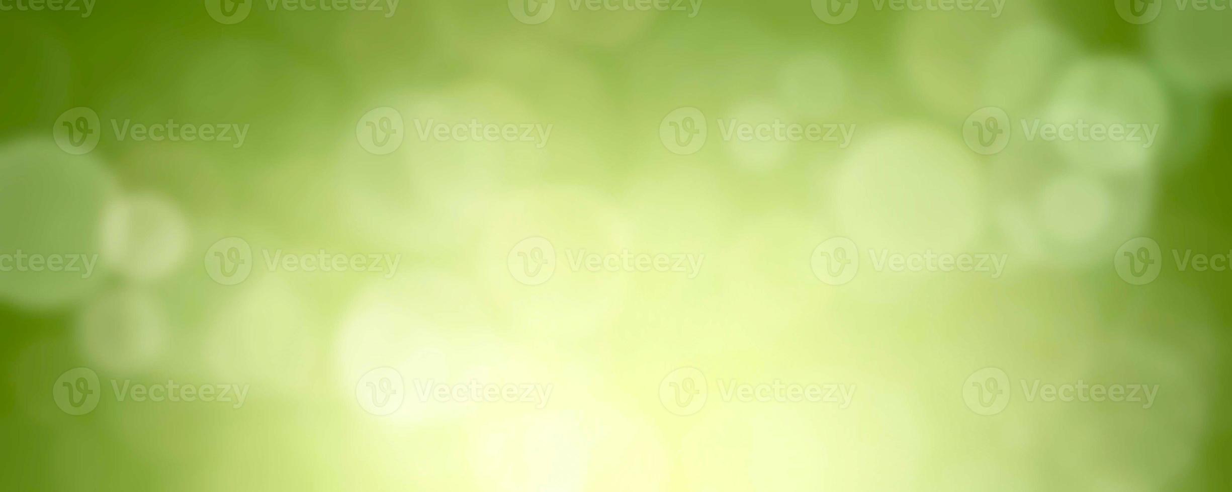 abstract sprint backgroundand summer background with light bokeh photo