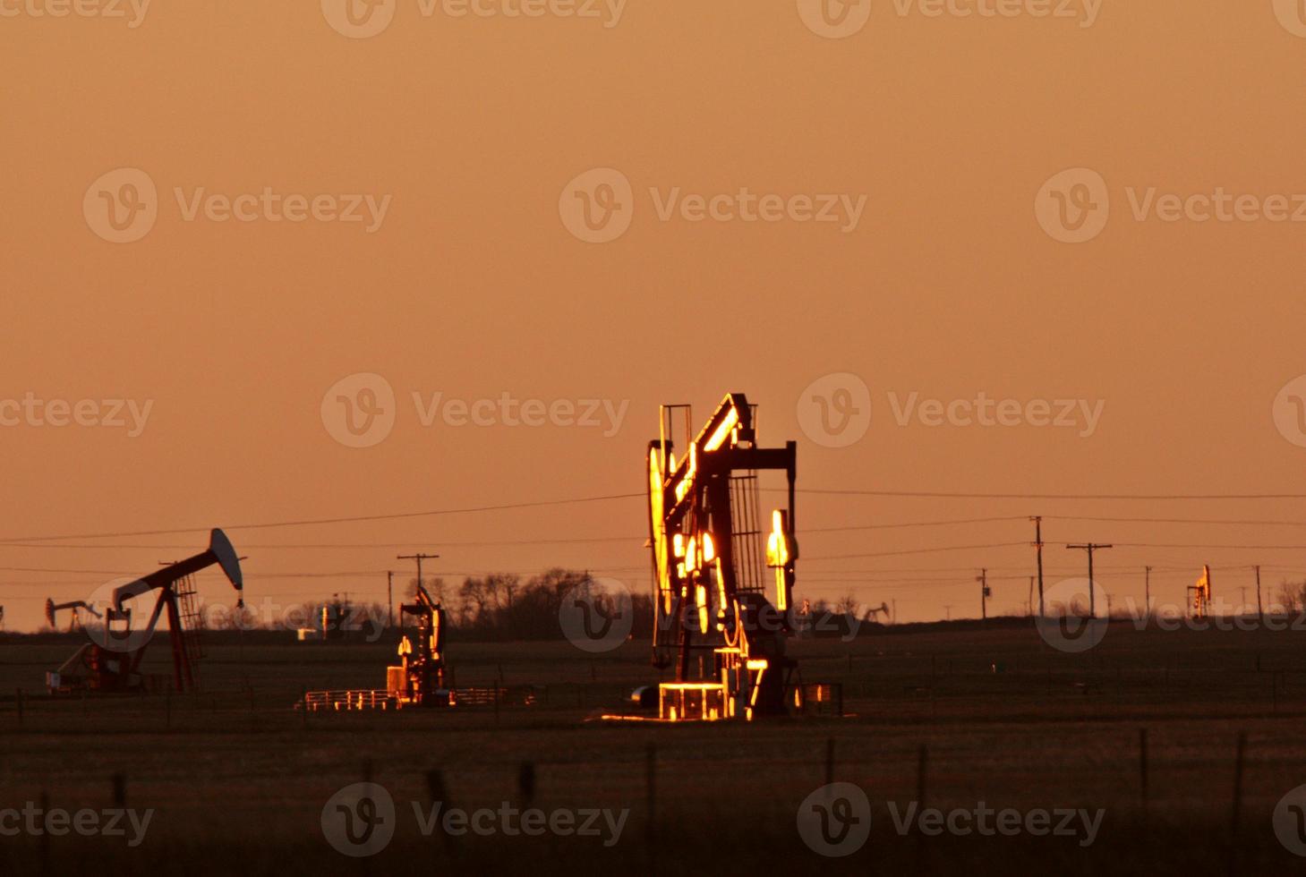 bombas de aceite en el campo de saskatchewan foto