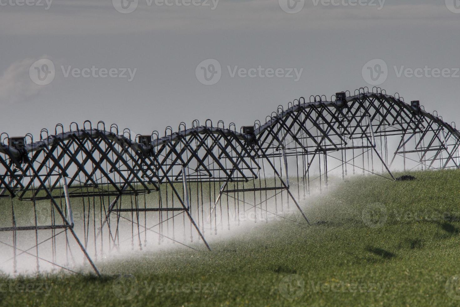 Water spinklers at work during cloudy day photo
