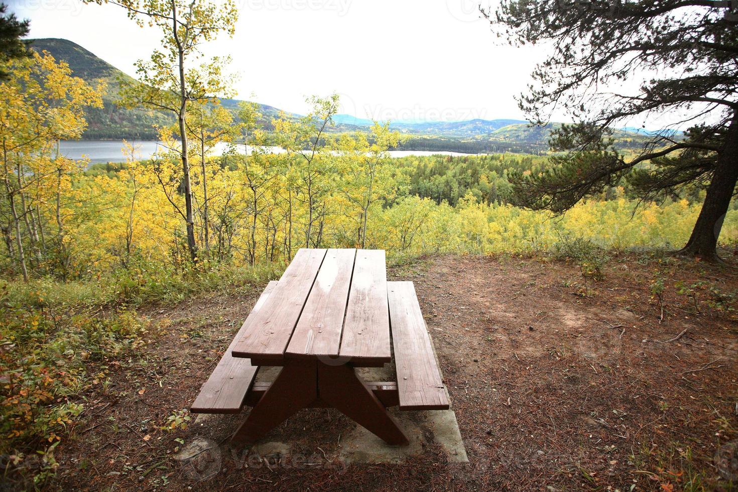 Park bench at Musreau Lake photo