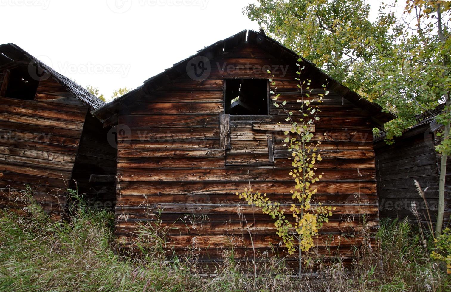 casa abandonada en alberta foto