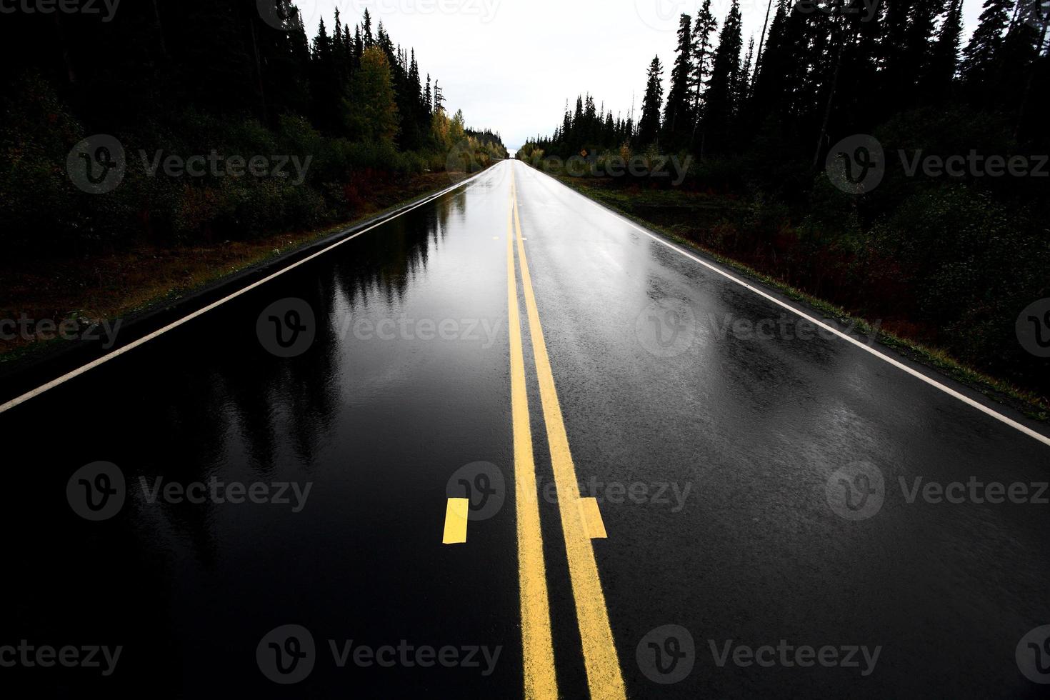 carretera cassiar húmeda a través del norte de columbia británica foto