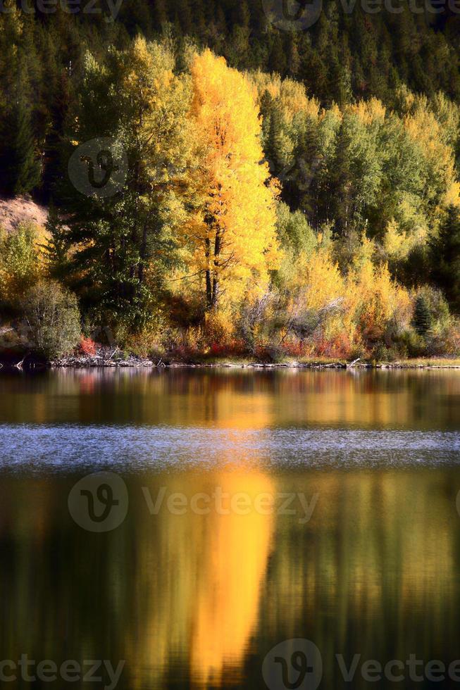 Autumn reflections in scenic Alberta photo