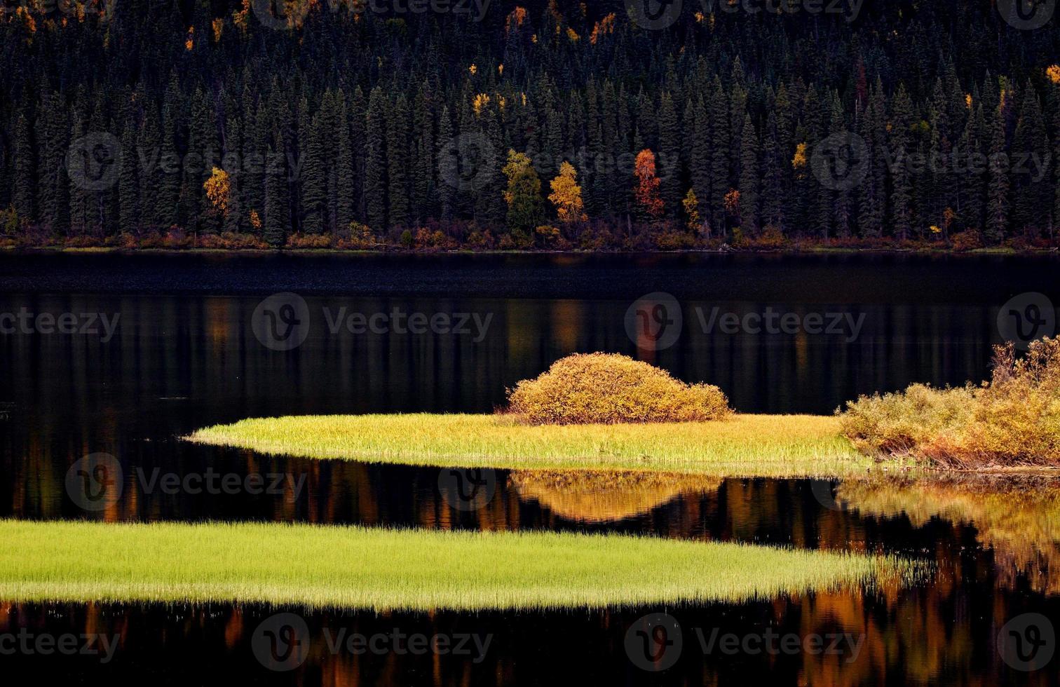 Water reflections in autumn photo