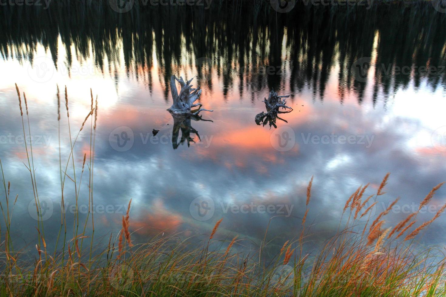 reflejos del estanque de montaña en columbia británica foto