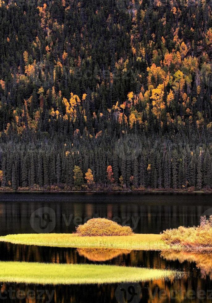 reflejos de agua en otoño foto
