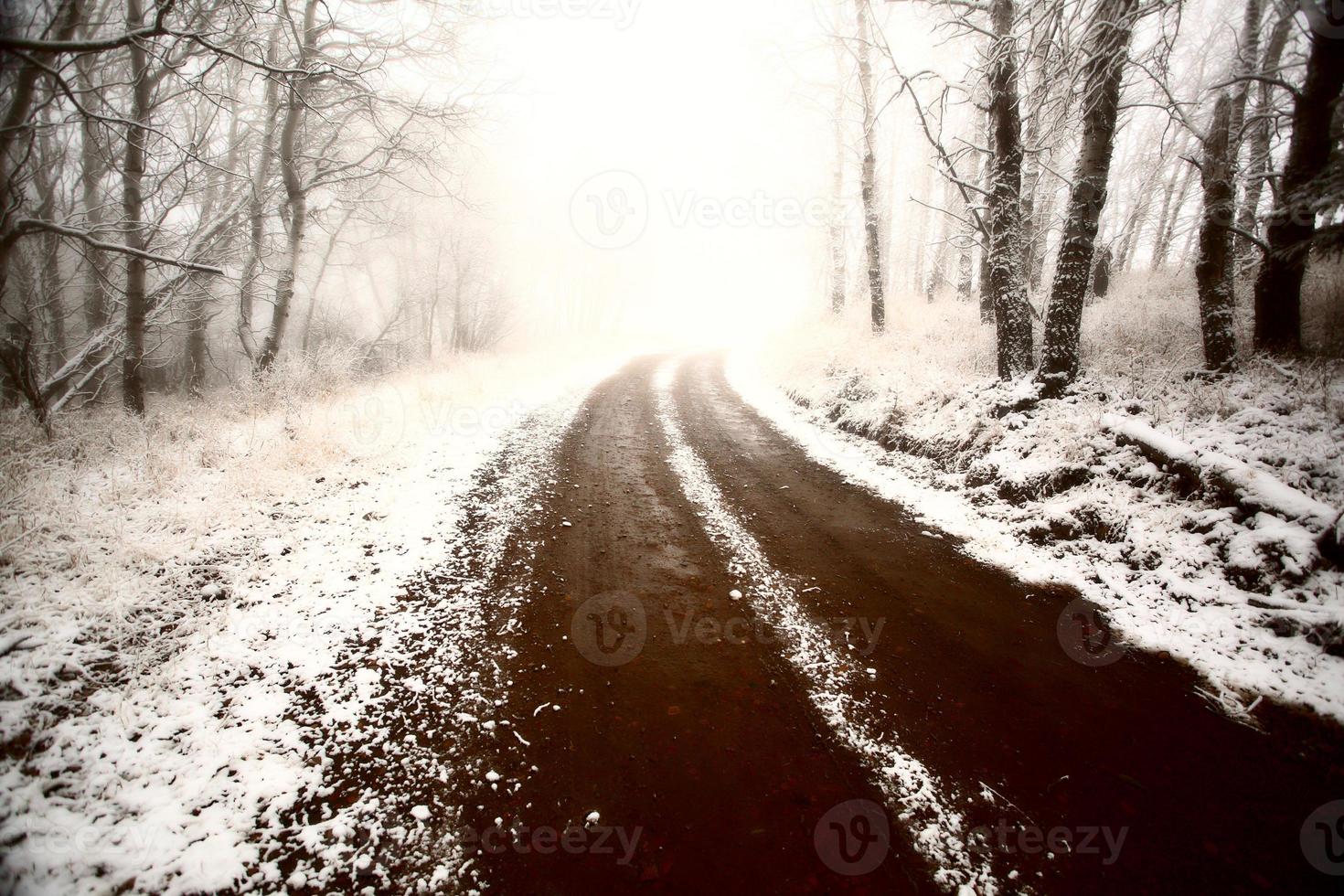 Ice fog in Cypress Hills Provincial Park of Saskatchewan photo