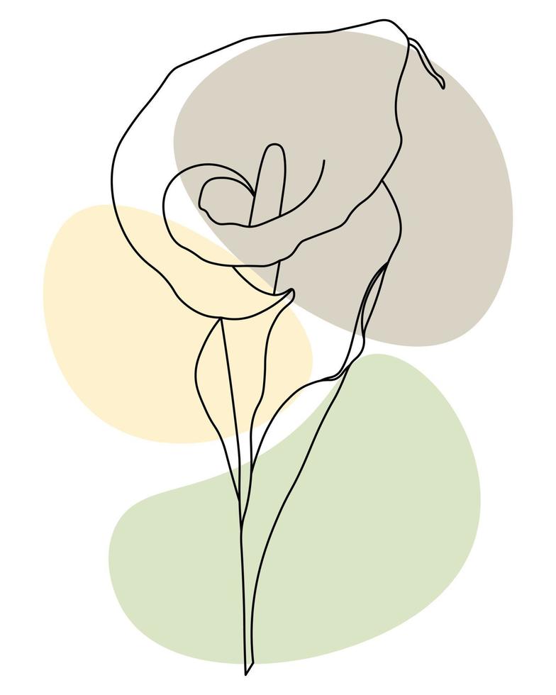 ilustración dibujada flor de cala. contorno negro con la adición de manchas de  color. arte lineal, arte mural, póster 6225874 Vector en Vecteezy