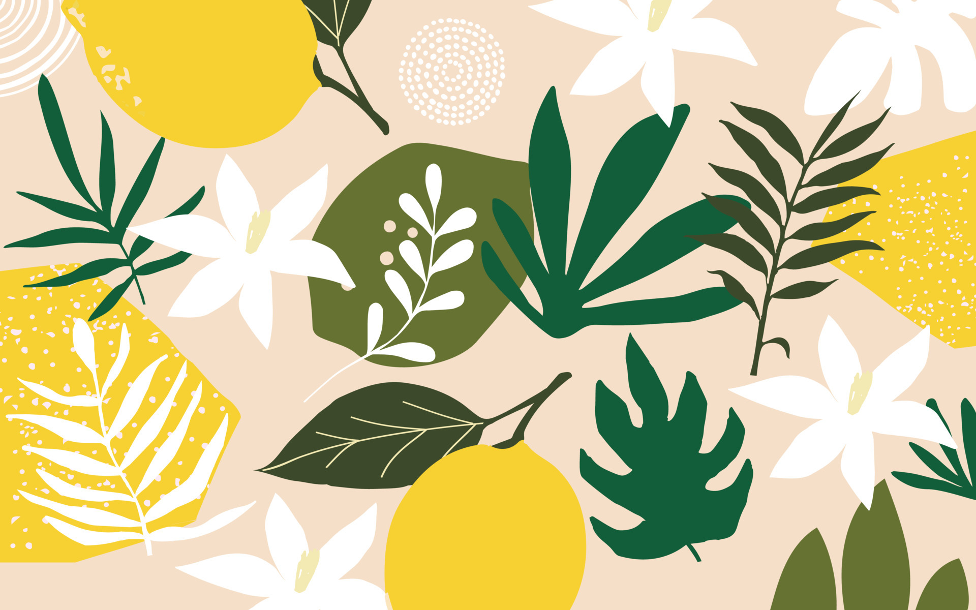 Botanical poster vector illustration. Foliage drawing with abstract shapes. Minimal and natural leaves and flowers art print. Abstract plant design for background, wallpaper, card, wall art 6225939 Vector Art at Vecteezy Botanical poster vector illustration. Foliage drawing with abstract shapes. Minimal and natural leaves and flowers art print. Abstract plant design for background, wallpaper, card, wall art 6225939 Vector Art at Vecteezy