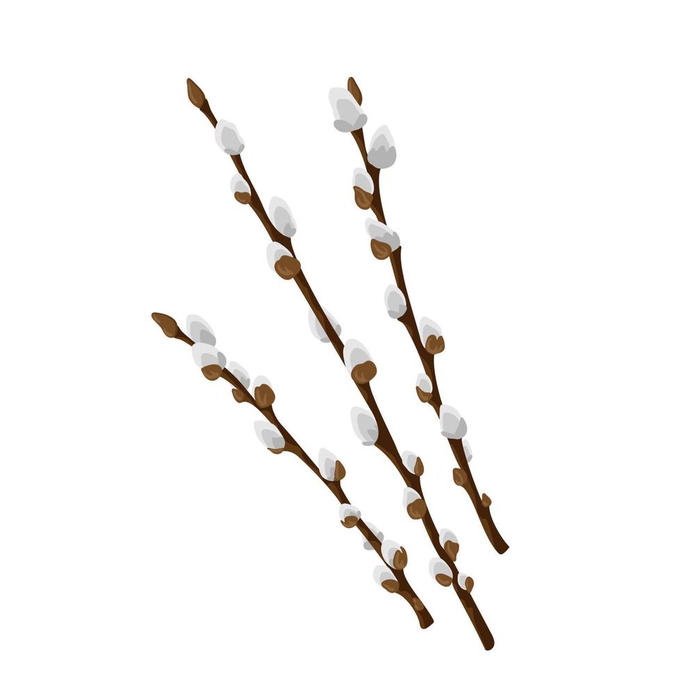 Easter spring twigs blossom pussy willow tree. Vector spring holiday illustration in cartoon flat style isolated on a white background.