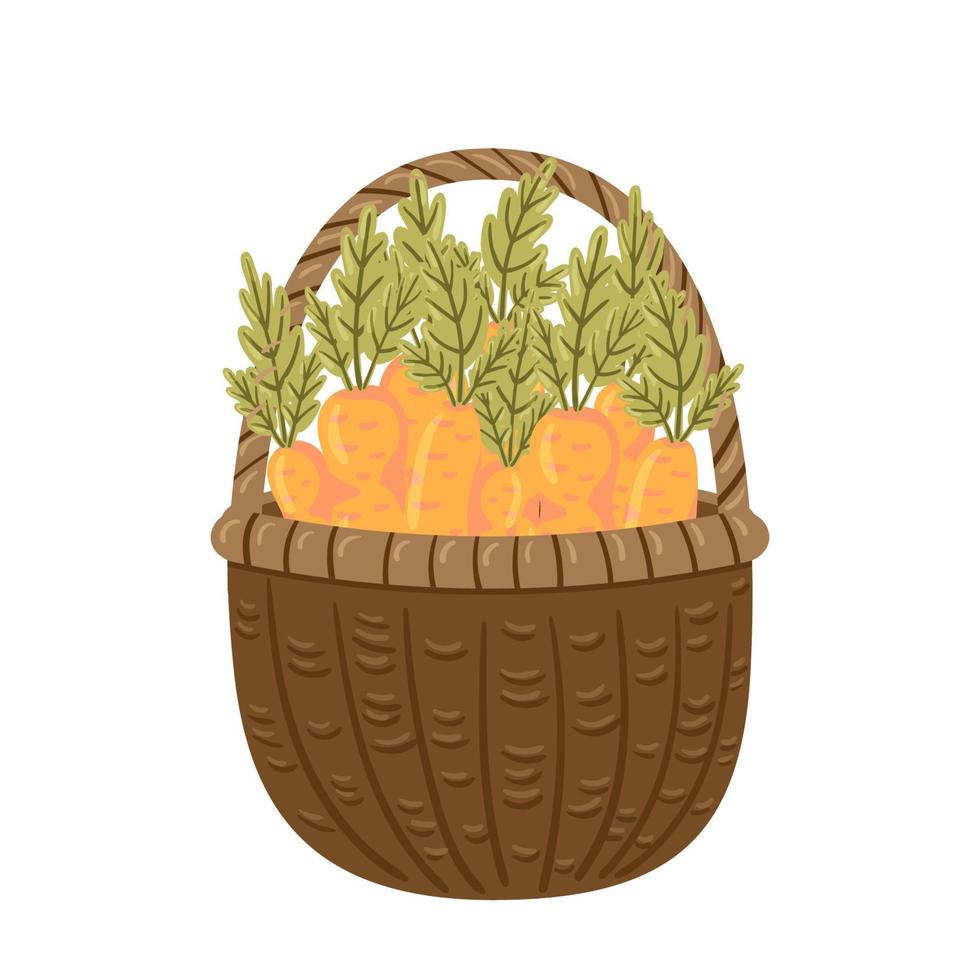 Wicker basket full of juicy ripe orange carrots. Fresh organic vegetables. Healthy food, Easter, market theme. Autumn harvest. Cartoon vector illustration isolated on white background.