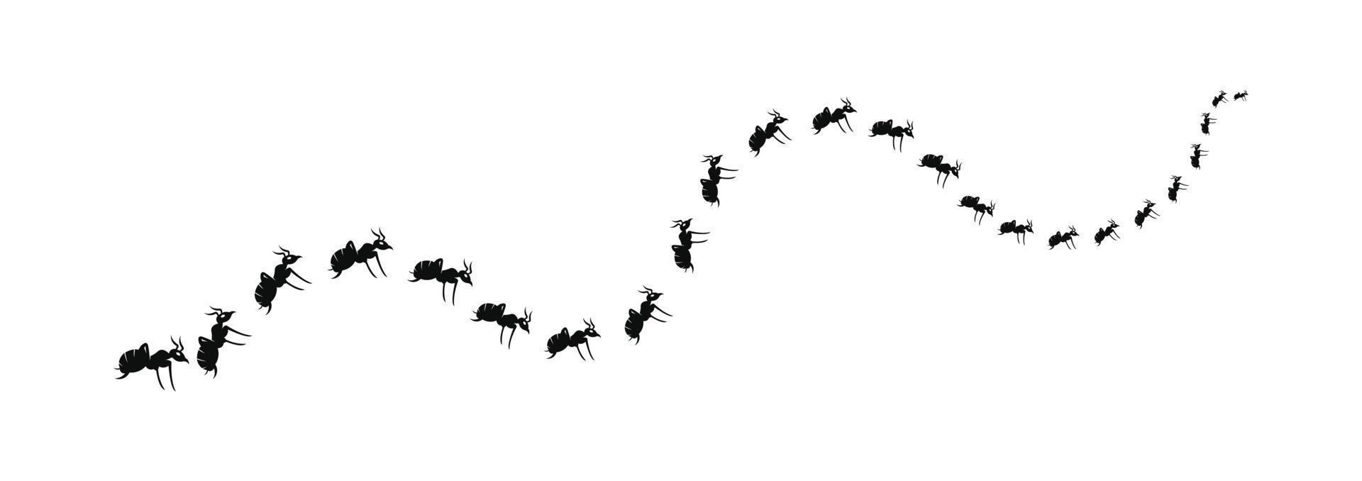 una hilera de hormigas obreras marchando en busca de comida.hormigas obreras marchando en hilera. Ilustración de vector de carretera de hormigas