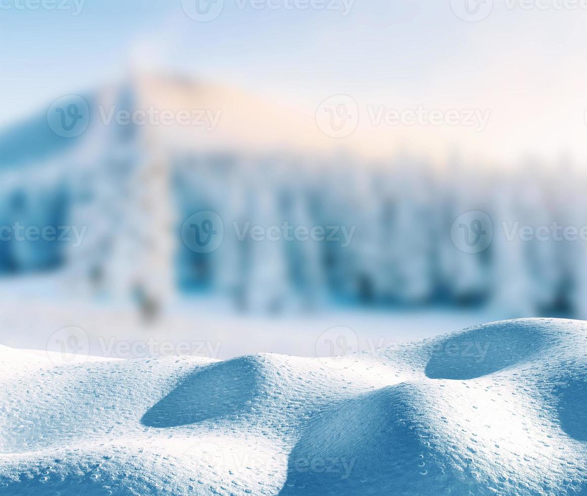 Winter background with a pile of snow and eroded landscape. Copyspace for text. Magical winter snow covered tree. Carpathian. Ukraine. photo