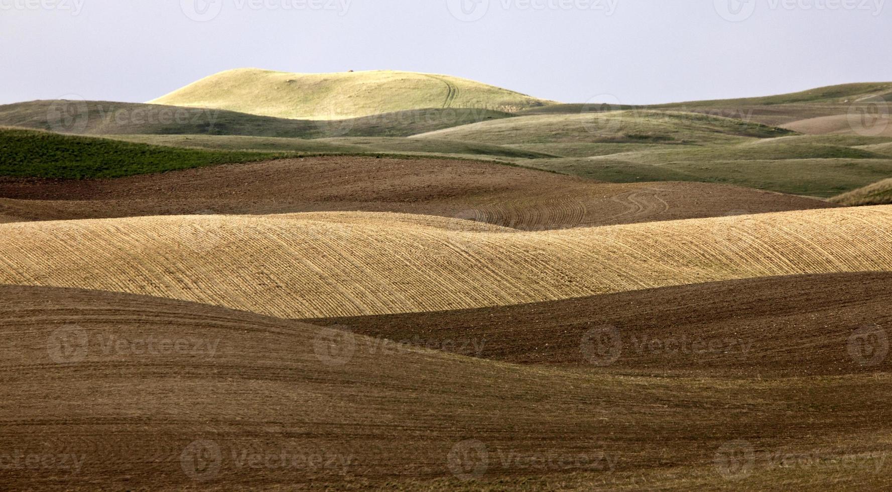 High Plains Hills Saskatchewan Canada photo