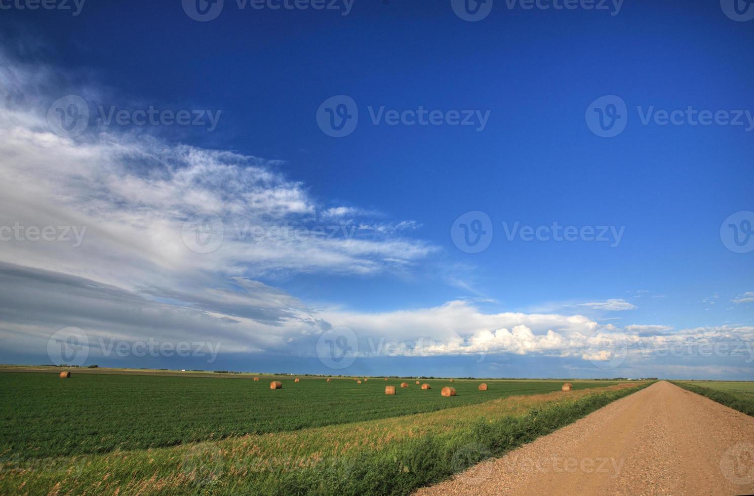 Hay bales in field beside Saskatchewan country road photo