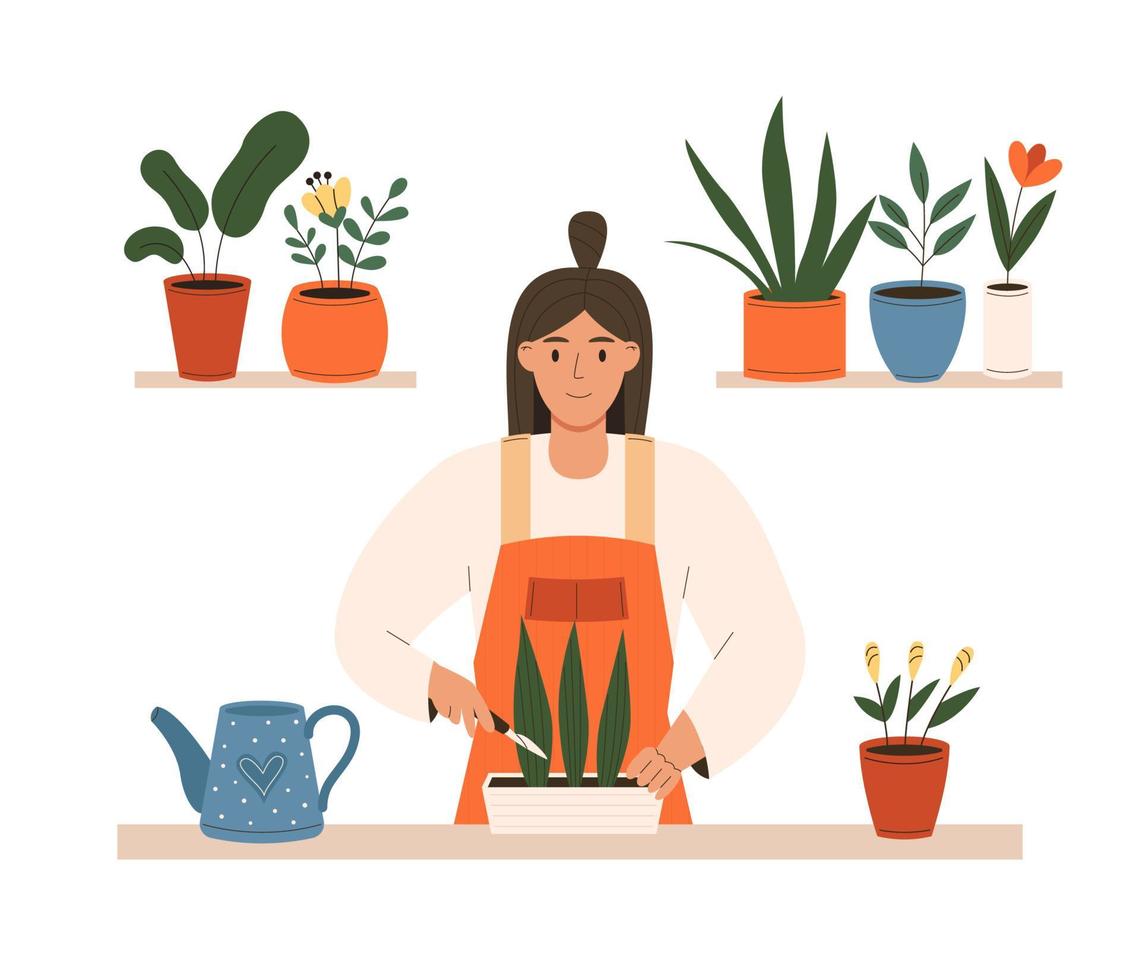 mujer cuidando plantas de interior vector