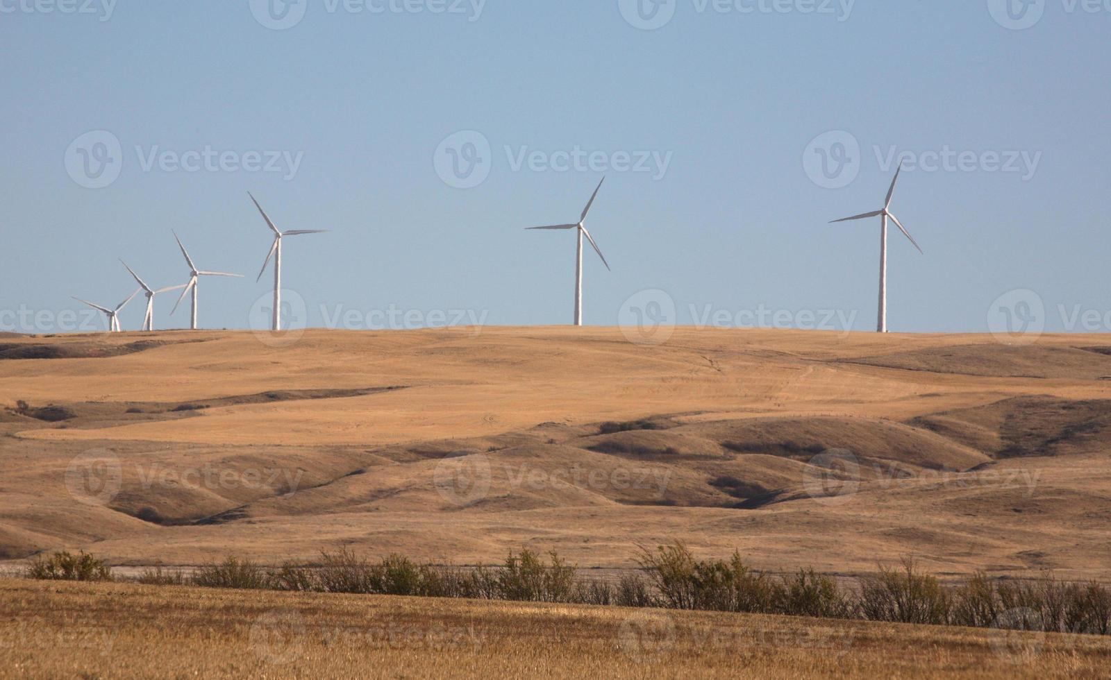 Wind farm south of Gull Lake Saskatchewan photo