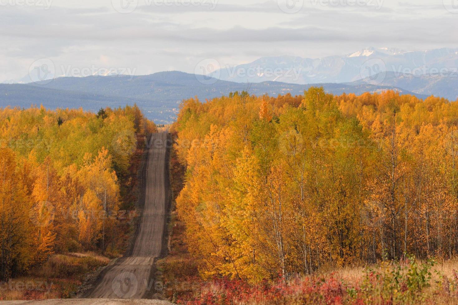 Autumn colored trees along road in British Columbia photo