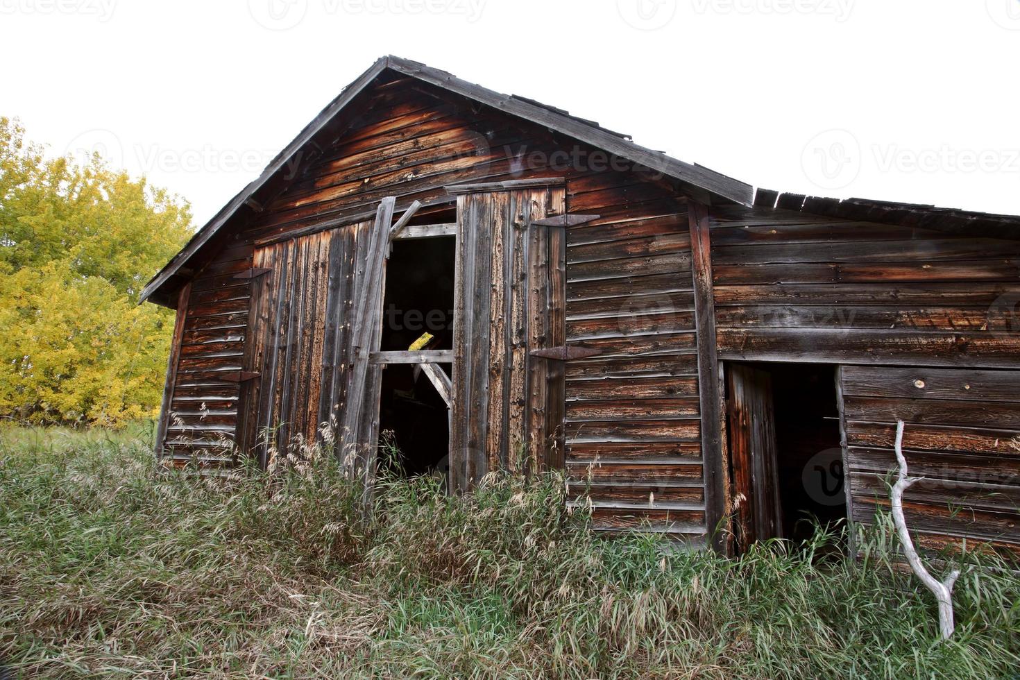 Abandoned homestead in Alberta photo