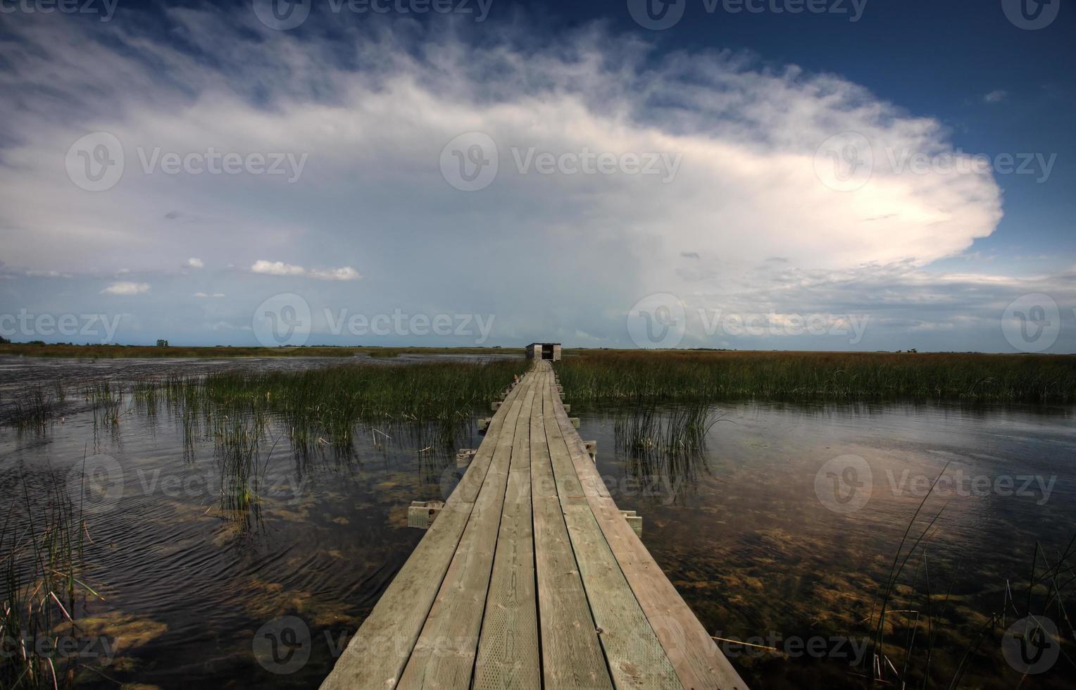 paseo marítimo sobre el agua en el último refugio de vida silvestre de montaña foto