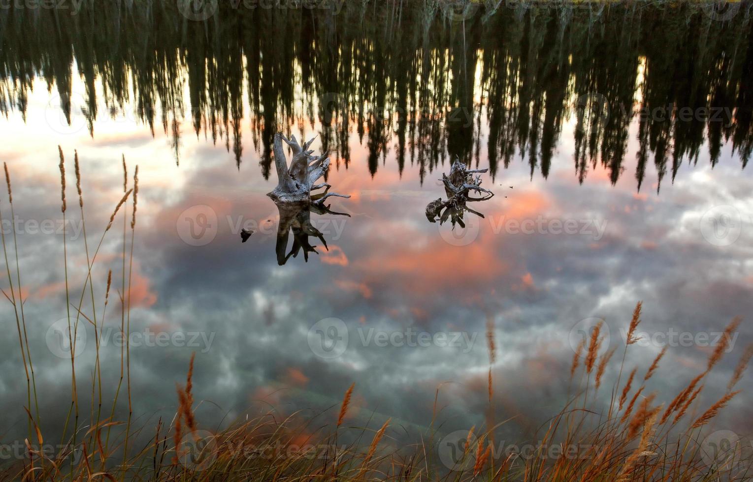Reflections off pond in British Columbia photo