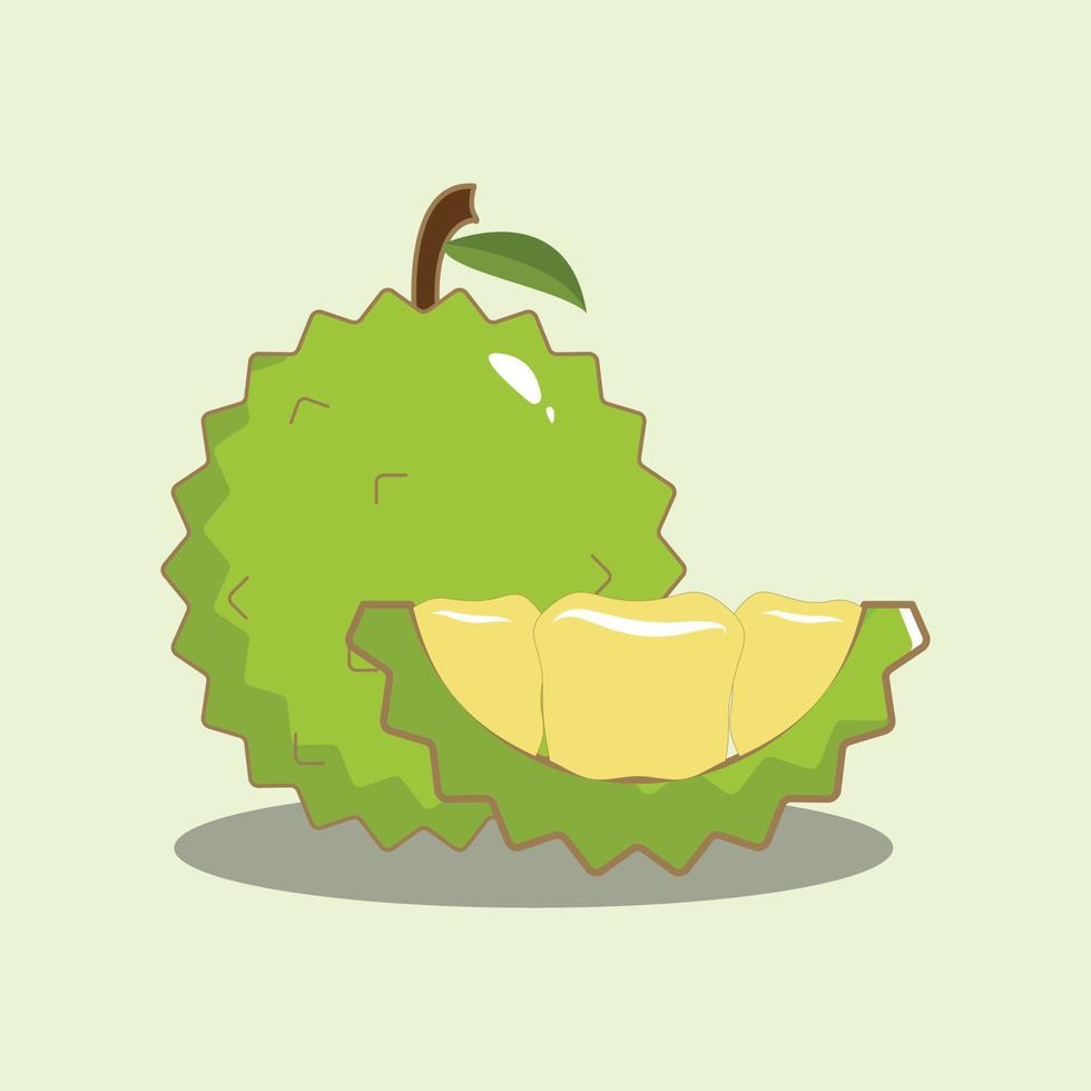 ilustración gráfica vectorial de la fruta durian, adecuada para el diseño con temática de frutas vector