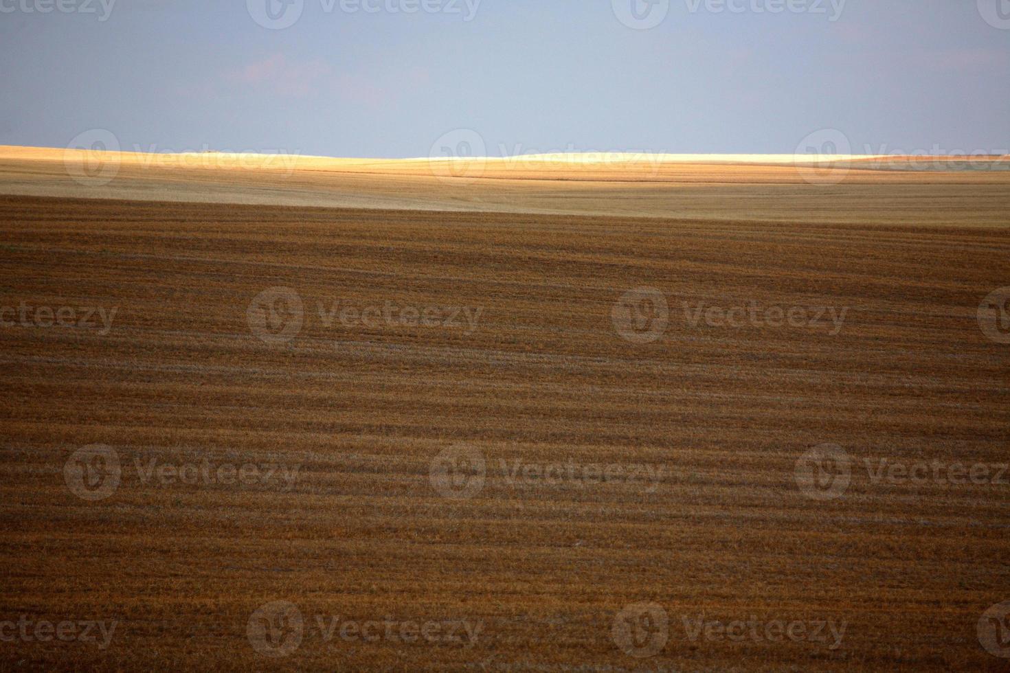 Cloud shadow over a Saskatchewan stubble field photo