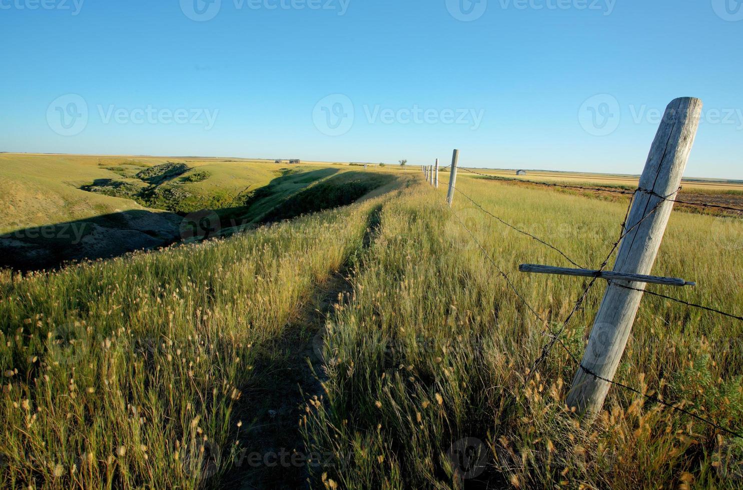 Fenced off Saskatchewan coulee photo