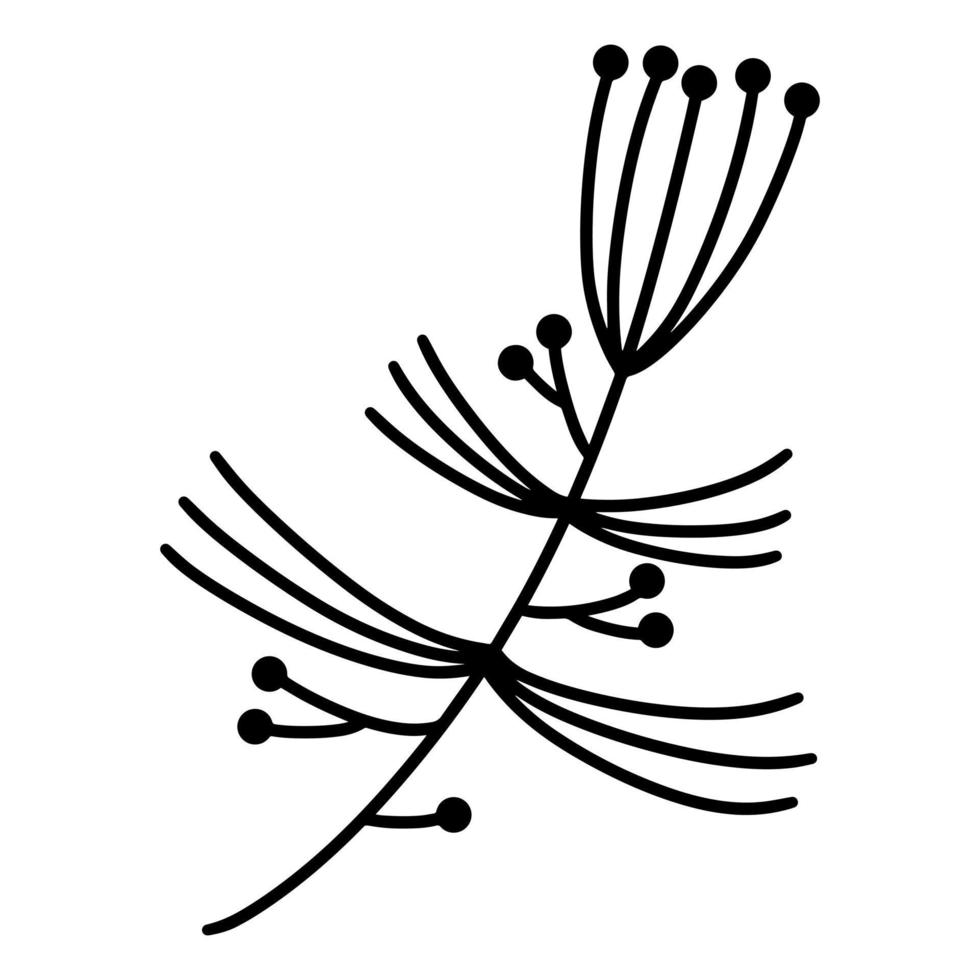 Branch with leaves and berries vector icon. Field flower contour. Isolated botanical illustration on a white background. Silhouette of wild grass. Hand drawn plant doodle. Monochrome.