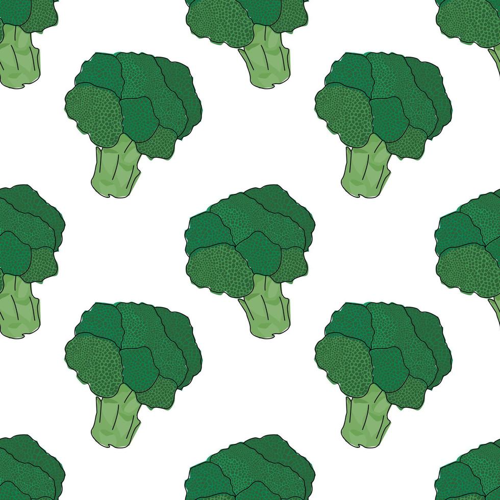 Seamless broccoli. Seamless pattern. Broccoli with white background. Hand drawn vector. Patterns for decoration. vector