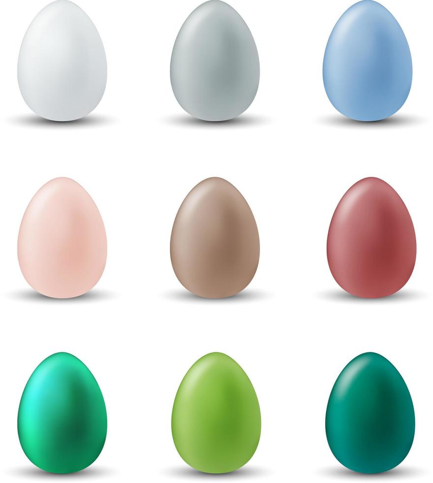 Colorful Easter eggs on white background vector