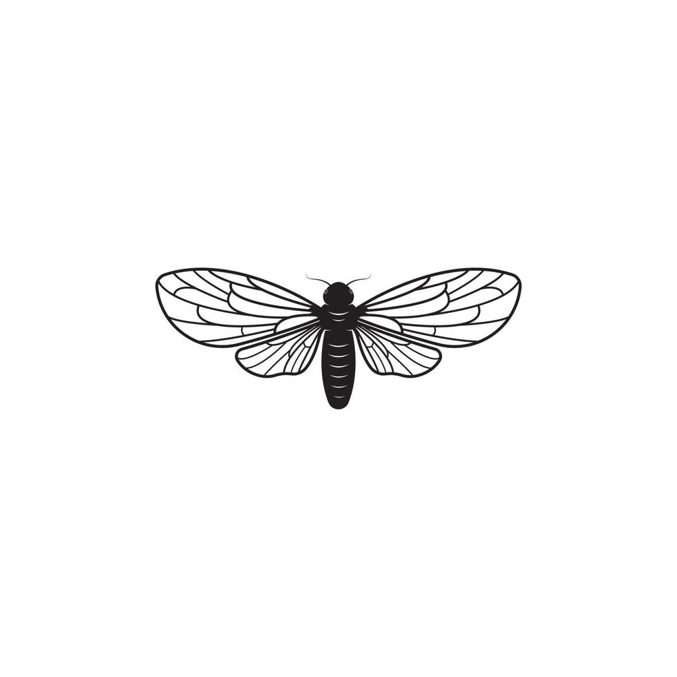 Cicada logo vector icon template