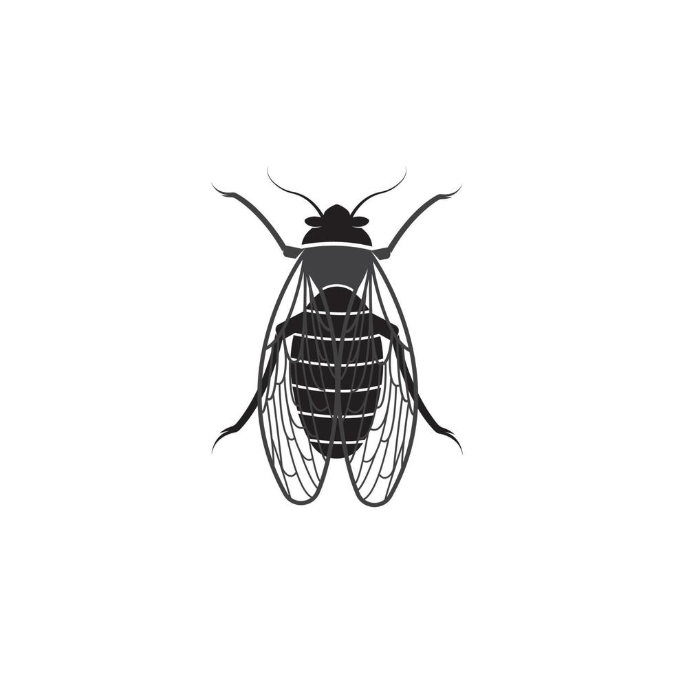 Cicada logo vector icon template