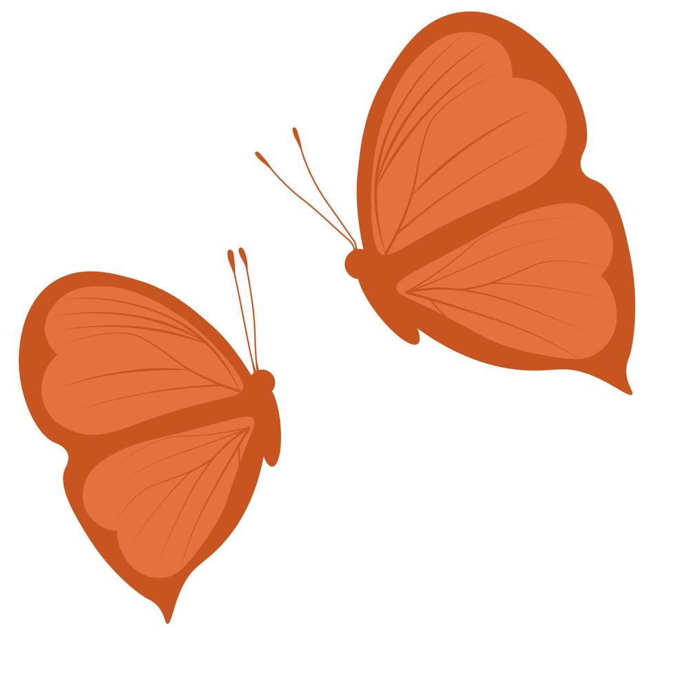 Two butterflies vector stock illustration. Summer meadow insect. Isolated on a white background.