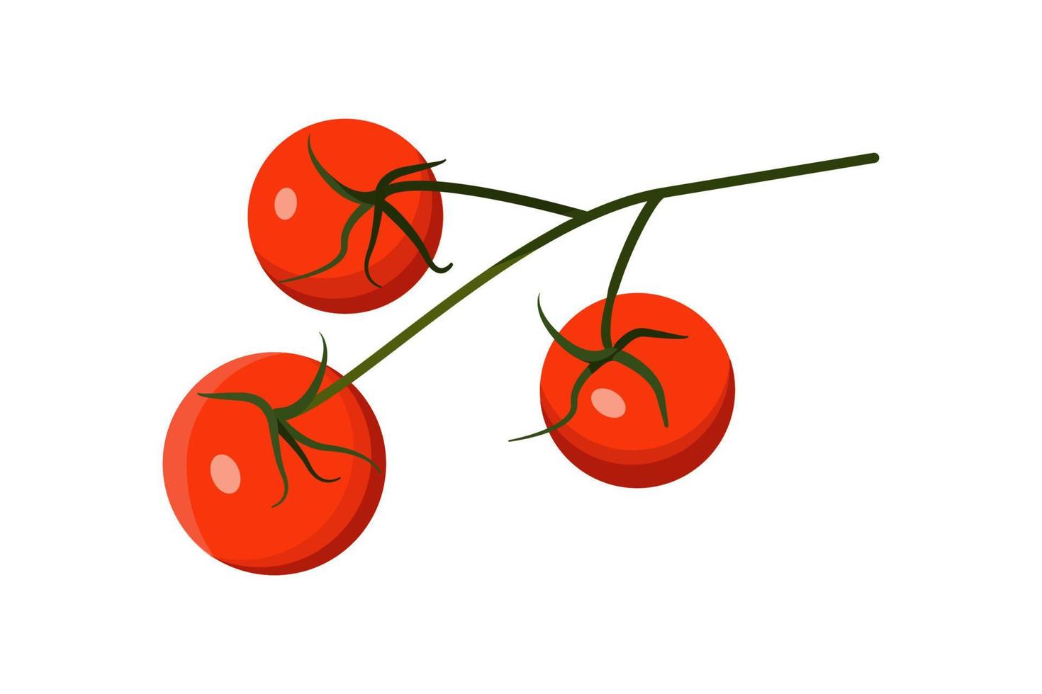 Fresh ripe red cherry tomatoes on green branch. Organic food from your garden. Vector flat color illustration isolated on a white background.