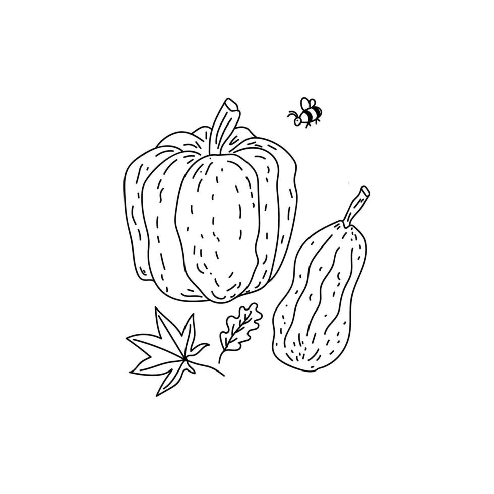 Pumpkins, autumn leaves, and a flying bee. Vector set. Illustration in Doodle style. Symbols of a cozy autumn and winter. Black outline isolated on a white background.