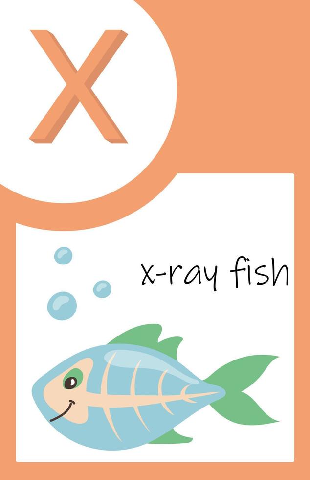 Flash Card Animals Alphabet X vector
