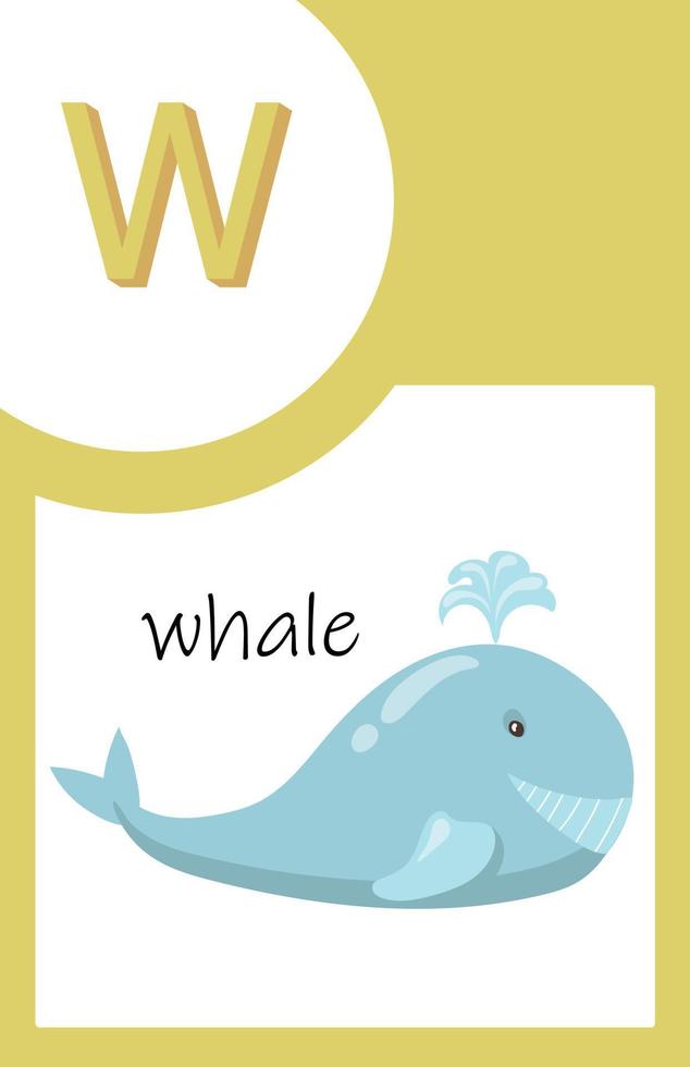 Flash Card Animals Alphabet W vector