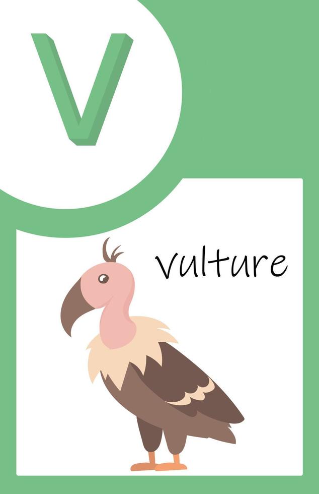 Flash Card Animals Alphabet V vector