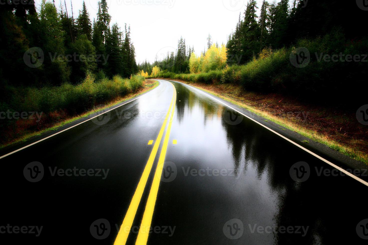 Wet Cassiar Highway through Northern British Columbia photo